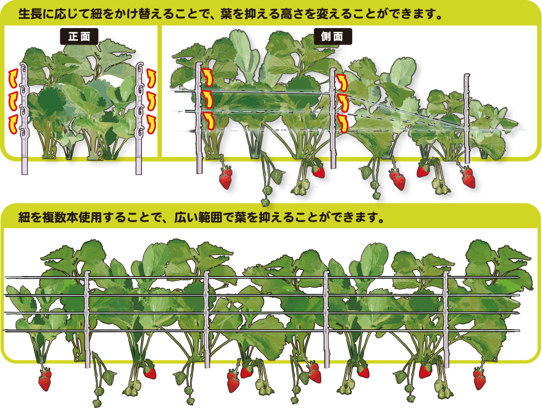 いちごの玉出しスティック　いちごろうイメージ