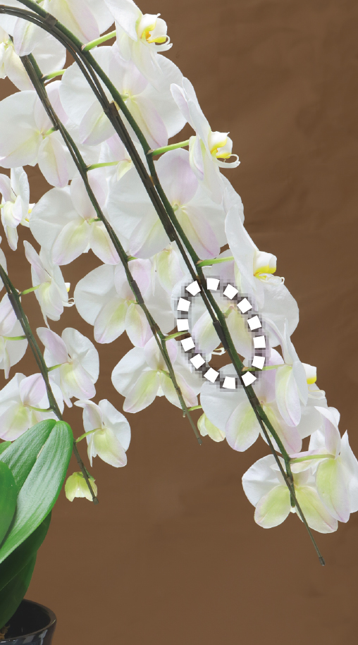 蘭支柱を簡単・確実に連結！！ 支柱ジョイントイメージ