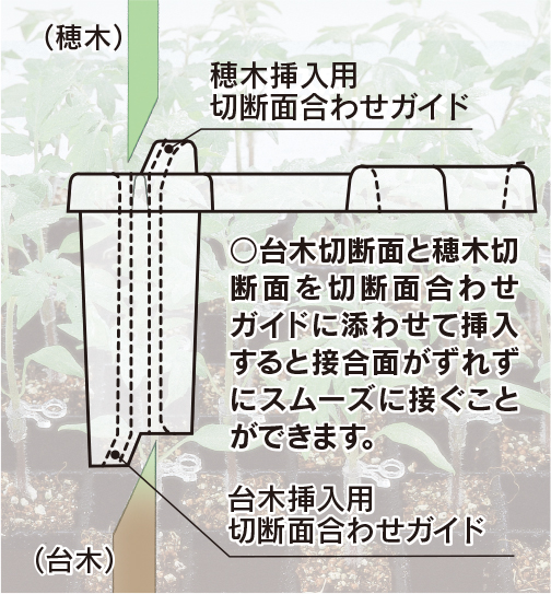 ジョインホルダーシリーズ 苗の挿入方向