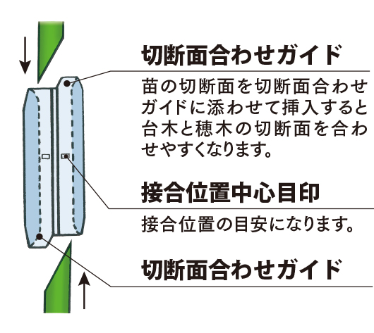 シンプルホルダーシリーズ 苗の挿入方向