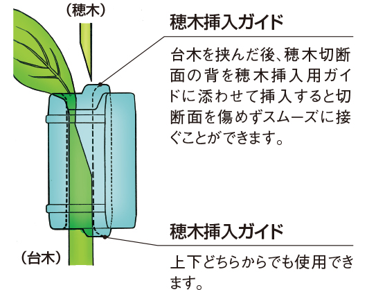 ウリカホルダーシリーズ 穂木挿入方向