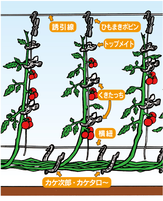 もまきボビン・ひもまきロックM・S（誘引紐取付ハイワイヤー用） イメージ