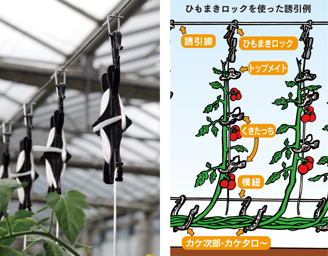 もまきボビン・ひもまきロックM・S（誘引紐取付ハイワイヤー用） イメージ