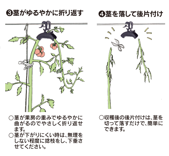 ターンハンガーM（折り返し栽培用） イメージ