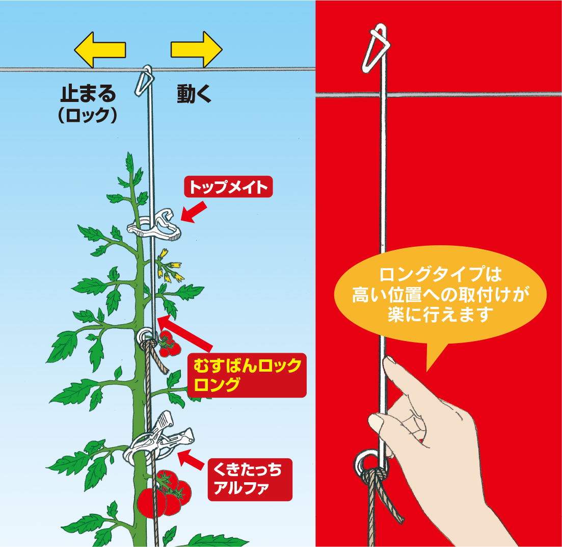 セットで使って楽々誘引